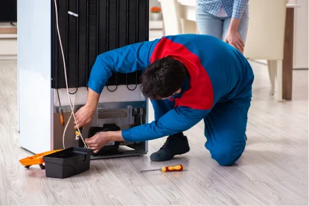 Deep Freezer Repairing (3)
