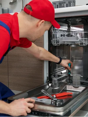 Dishwasher Repairing issues (2)