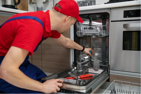 Dishwasher Repairing issues (2)