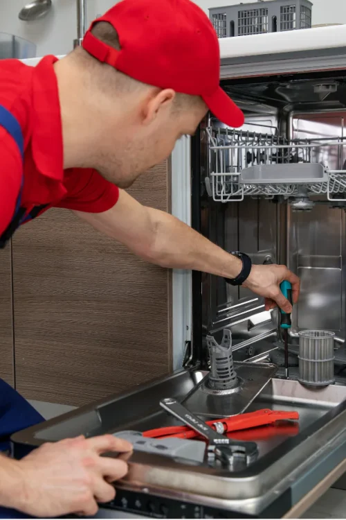 Dishwasher Repairing issues (2)